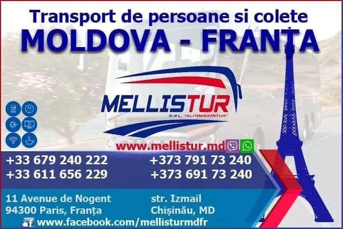 mellis-tur-transport-colete_1428_1